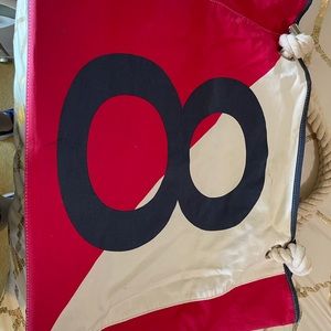 Donna Dixon Beach Bag